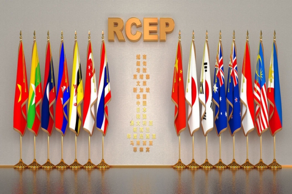專家：應充分利用RCEP各國產業互補性應對全球經濟挑戰